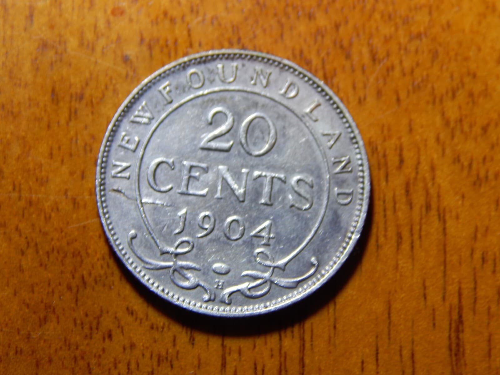 1904 newfoundland 20 cents (Die Lamination Error on Coin) 2