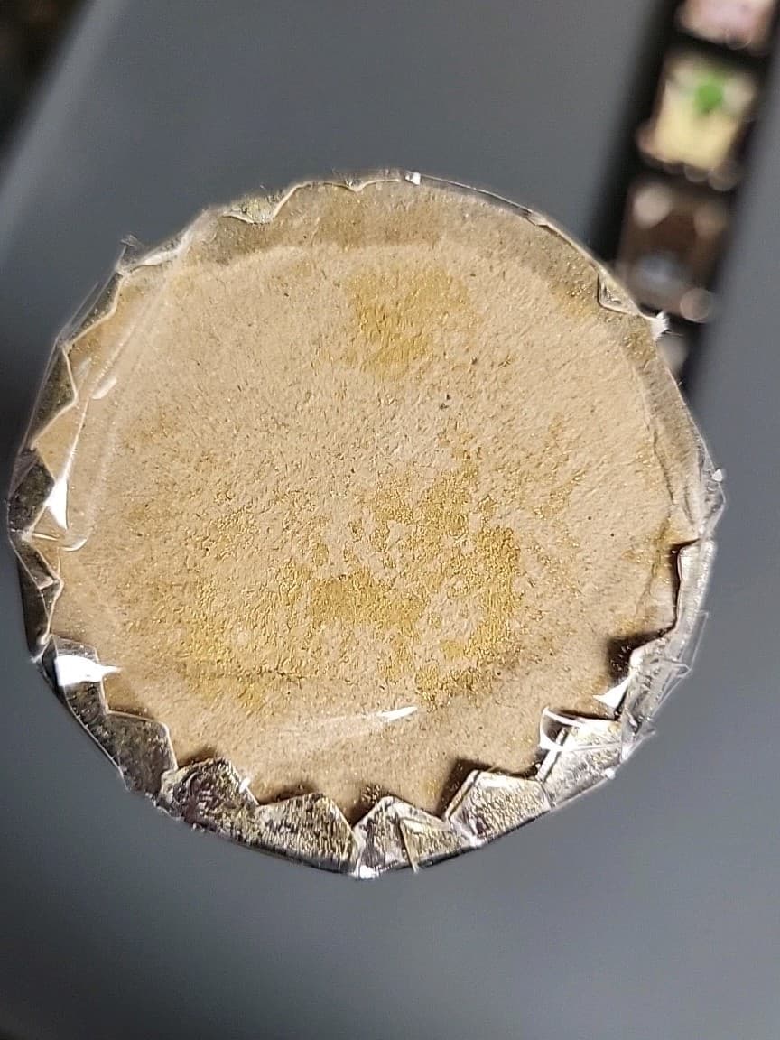 Disney Star Wars Weekend  2012 Sculpted Lightsaber Boxed 5 Pin Set LE 550 WDW 5