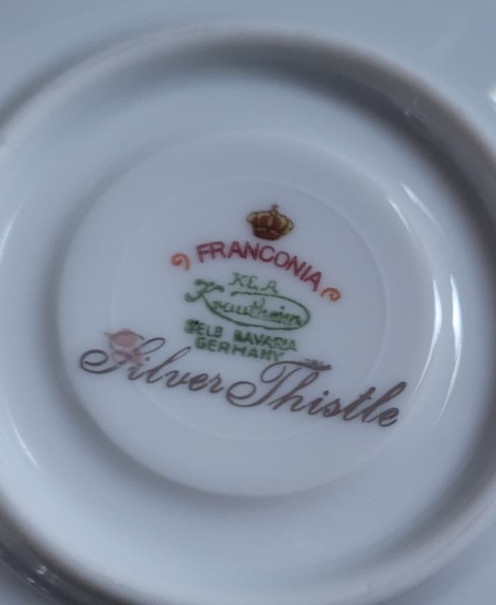 2 Pcs. Teacup  Saucer Set Silver Thistle Franconia Flowers Selb Bavaria 6