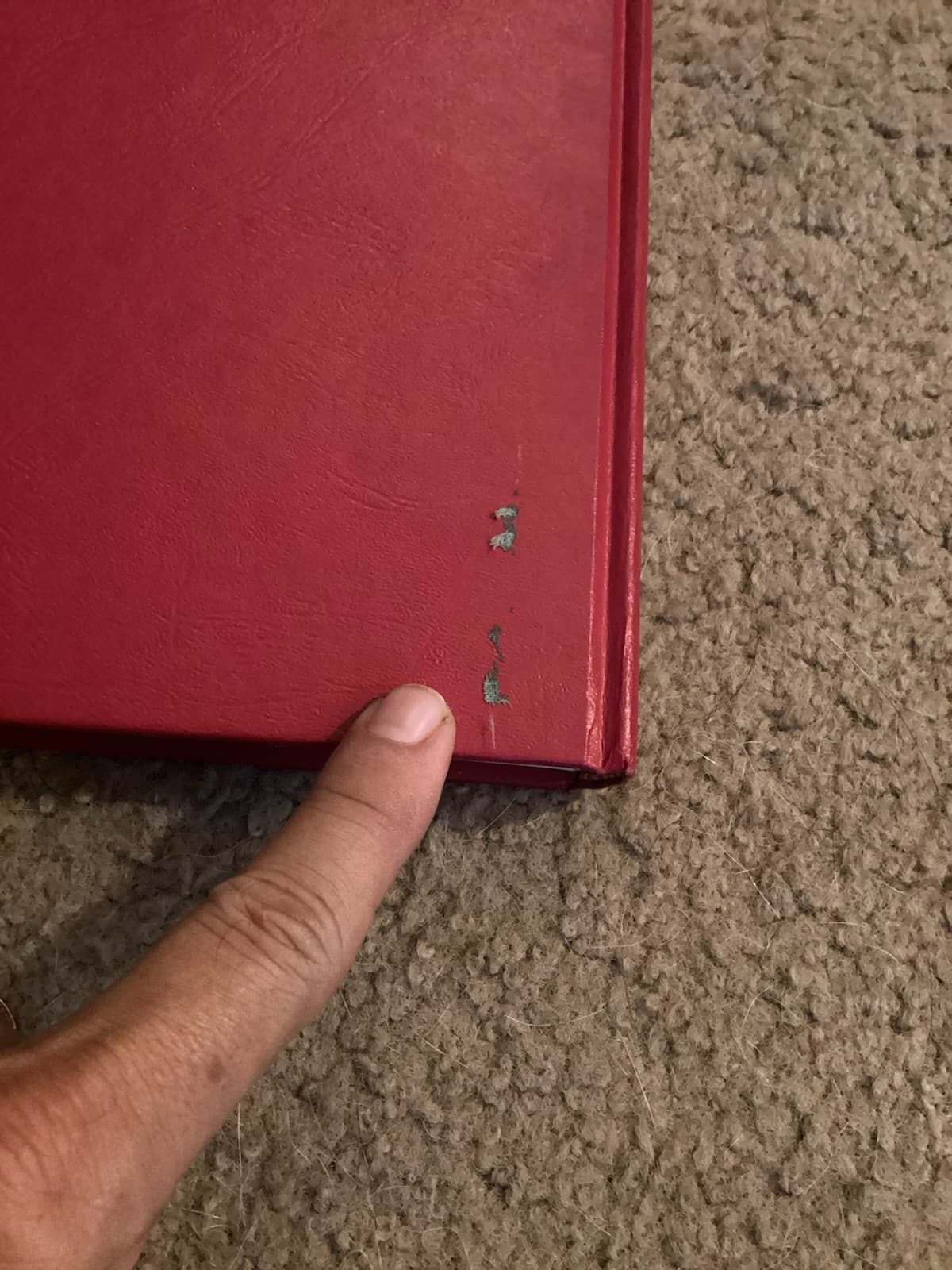 Vtg KINFOLK FAMILYS OF JOHN THOMAS PERRY&agatha Perry By James Perry  3