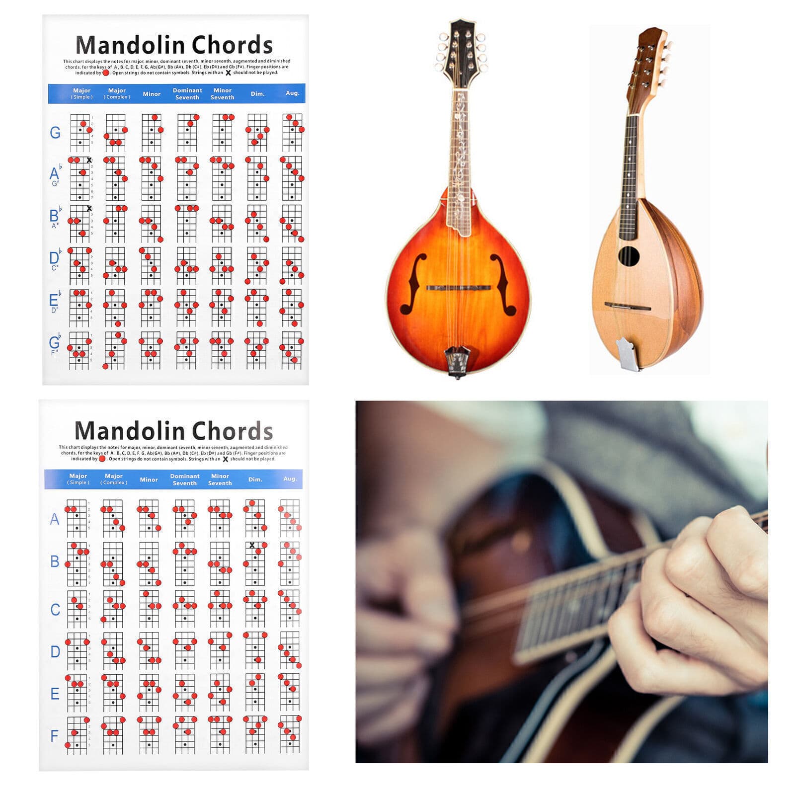 Practical Mandolin Chord Chart Fretboard Notes Coated Paper for Beginners Adult 3