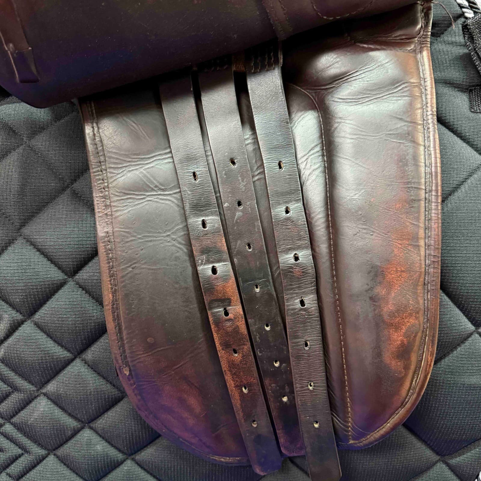 Marcus Krehan Dressage Saddle (Used) 6