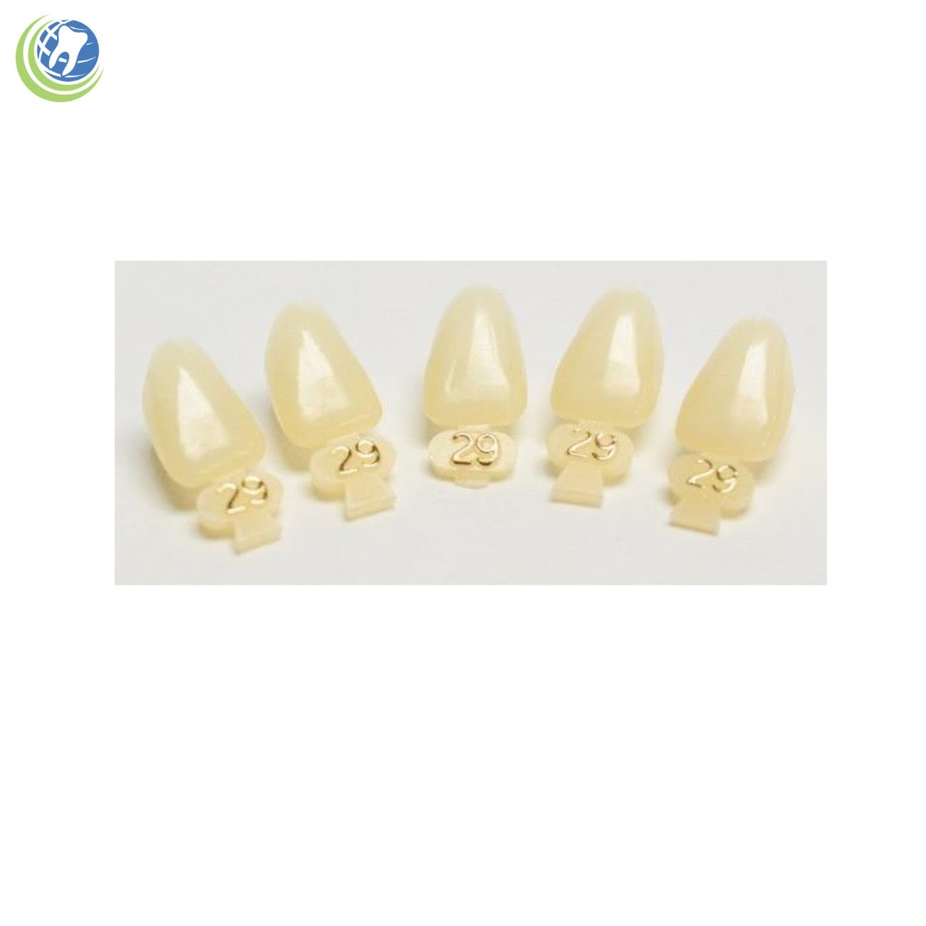 DENTAL POLYCARBONATE TEMPORARY CROWNS #29 (ULL) UPPER LEFT LATERAL 5/PACK