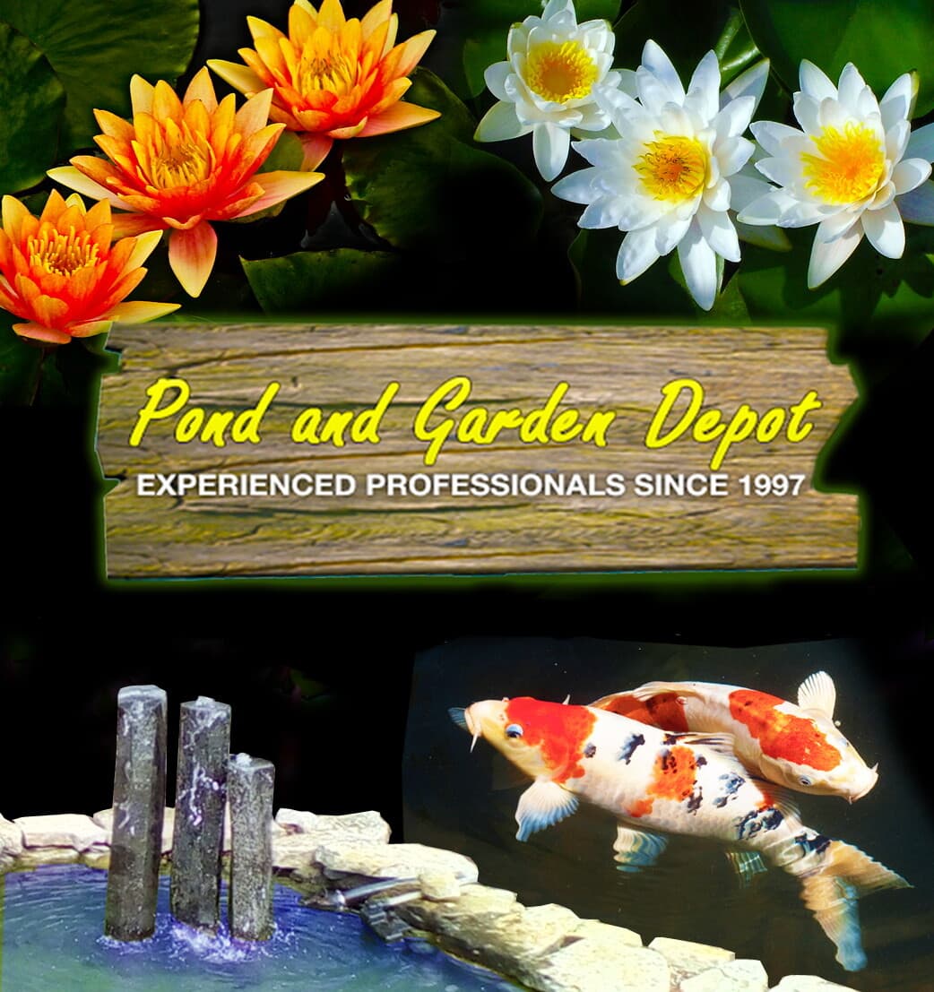 Pondmaster 02675 Proline Hy-Drive Pond Waterfall Pump 4,000 gph w/ Free Pump Bag 4