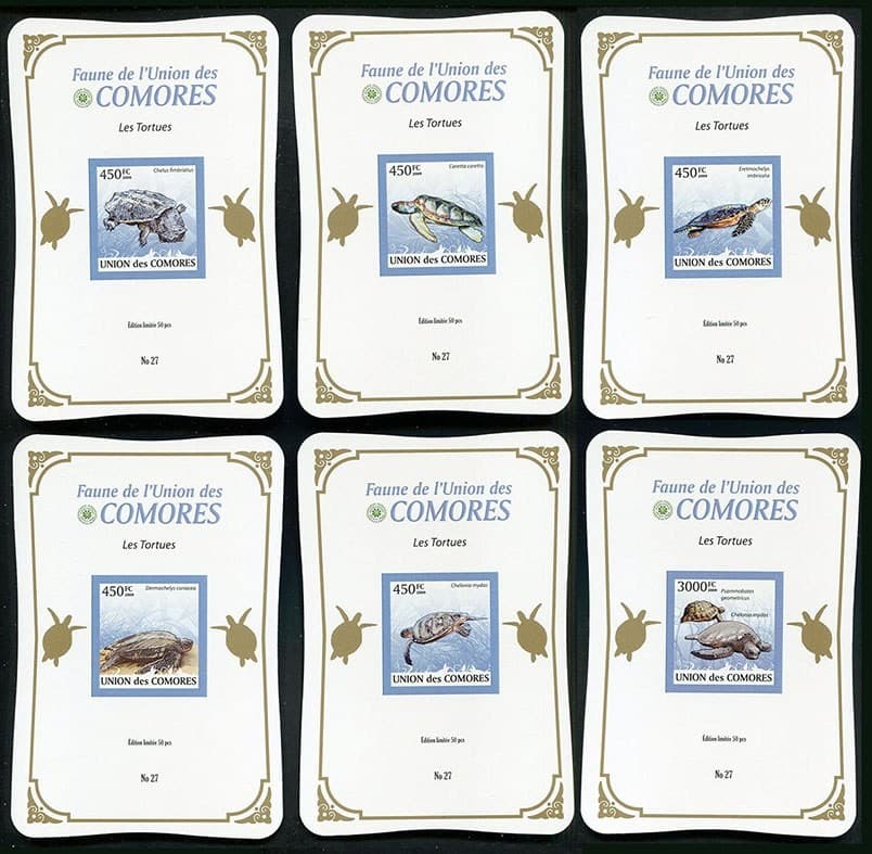 LY465 2009 COMOROS TURTLES REPTILES MARINE LIFE GOLD ! CARDBOARD 6BL MNH