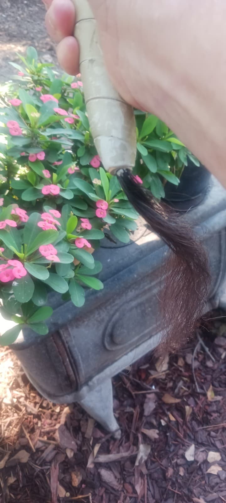 **AWESOME OLDER  NATIVE AMERICAN BISON JAWBONE TOMAHAWK  FRINGE VERY NICE ! ** 5