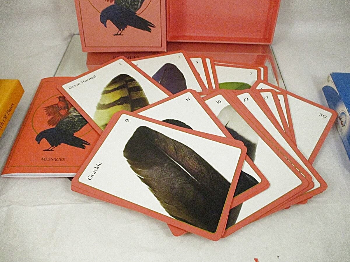 Bird Kin Oracle Deck 2019 Feather Messages + Guidebook 30 Cards EUC Stocking Stu 4
