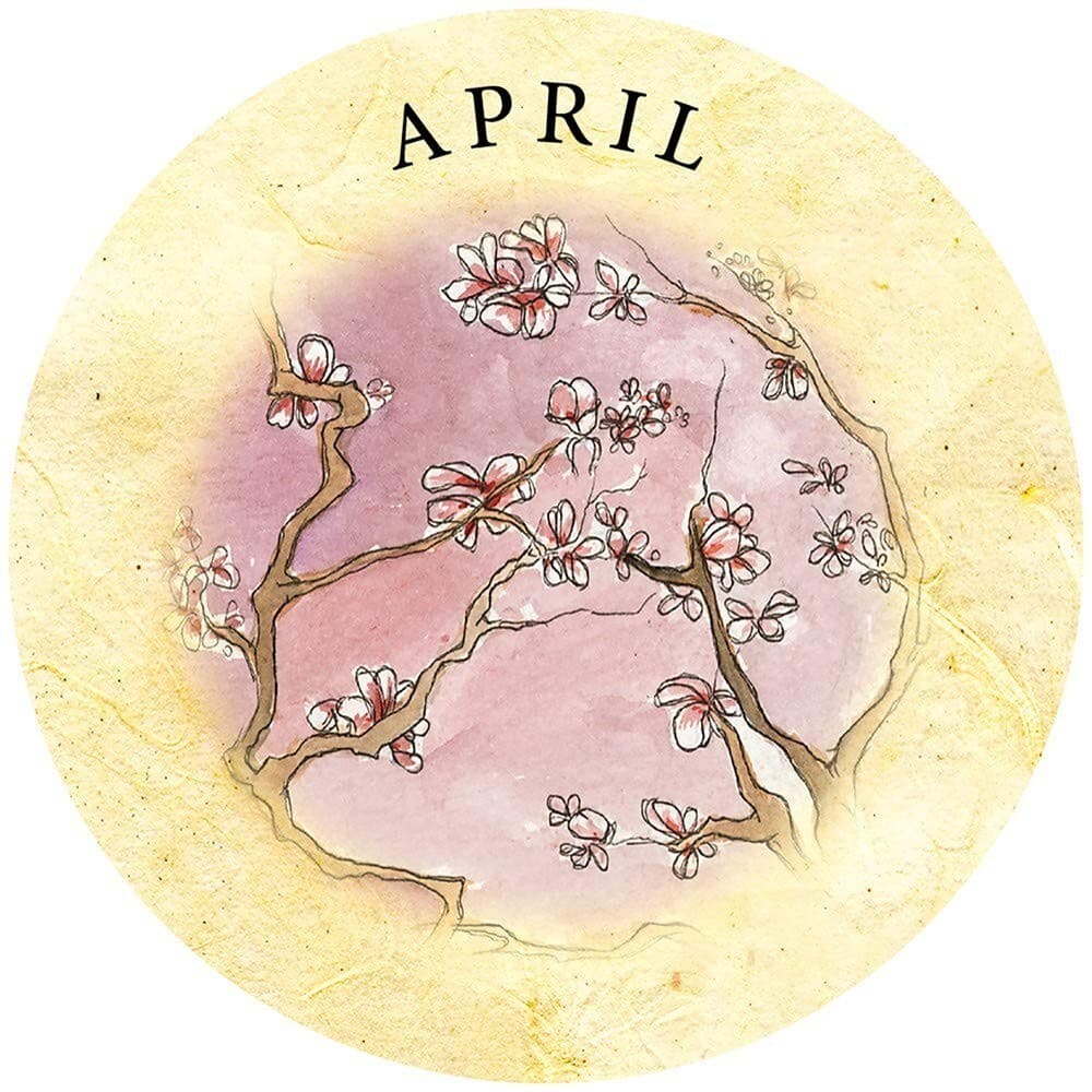 Tea Leaf Fortune Cards By Rae Hepburn 200 Tarot Card Deck + Pouch + Guidebook 6