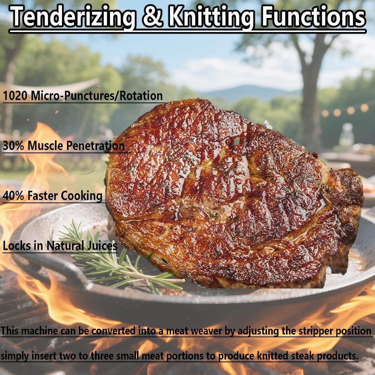 TA3130 Complete Cradle Assembly Kit Fit Biro Tenderizer Pro 9 Sir Steak PRO-9SD 4