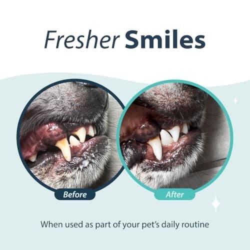 Dental Fresh Advanced Plaque and Tartar Water  Assorted Flavor Names , Sizes  3