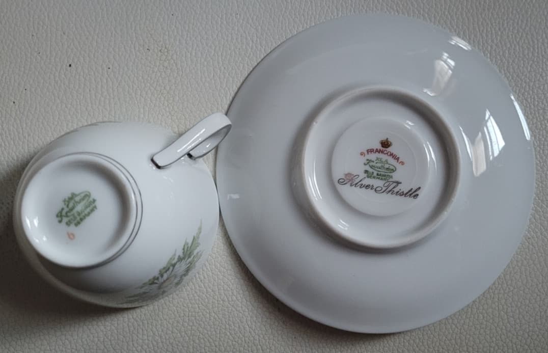 2 Pcs. Teacup  Saucer Set Silver Thistle Franconia Flowers Selb Bavaria 5