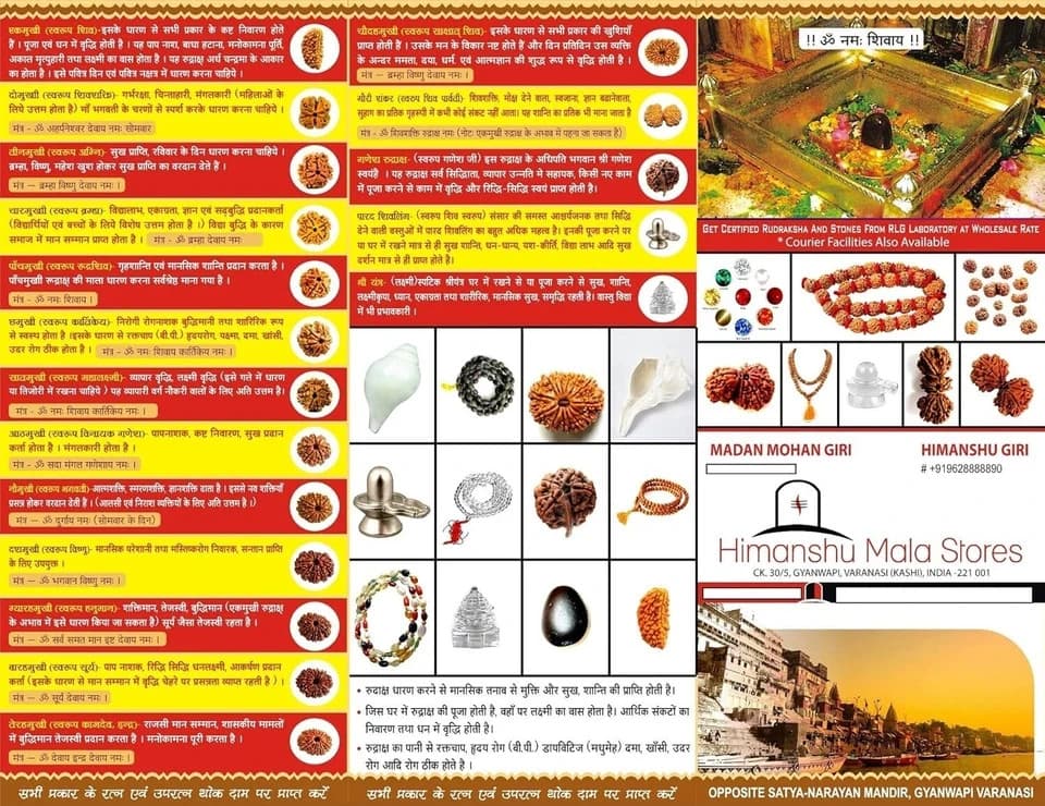 Original 14 Mukhi Rudraksha (Lab Certified) Origin - Nepal/Good Shape & Matured 3