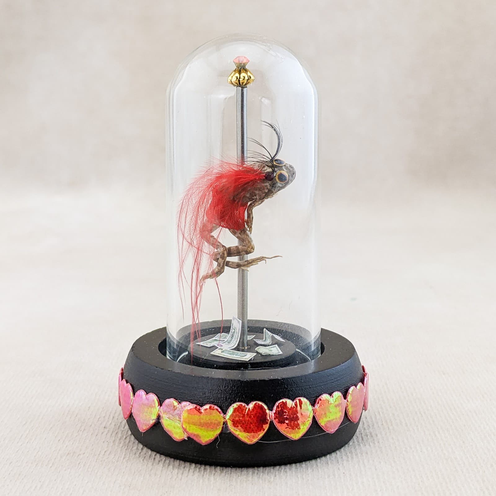 Stripper Leopard Frog Glass Dome Taxidermy Specimen Oddity Curiosities gift 5