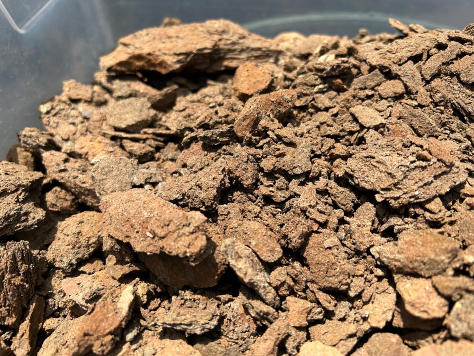 1 LBS Texas Micro Fossil Matrix Ozan Formation Find your Own Fossils Shark Fish 4