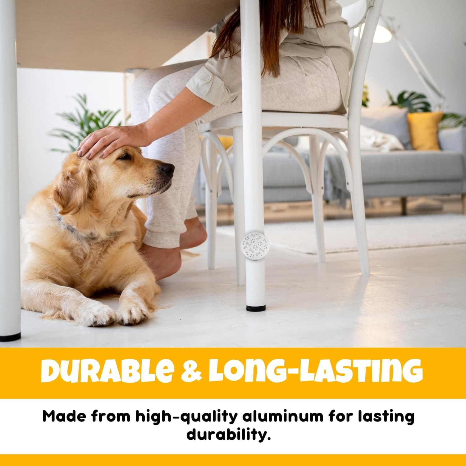 Scent Work Tins - Dog Scent Training Kit - Nosework Detection & Enrichment Sc... 6