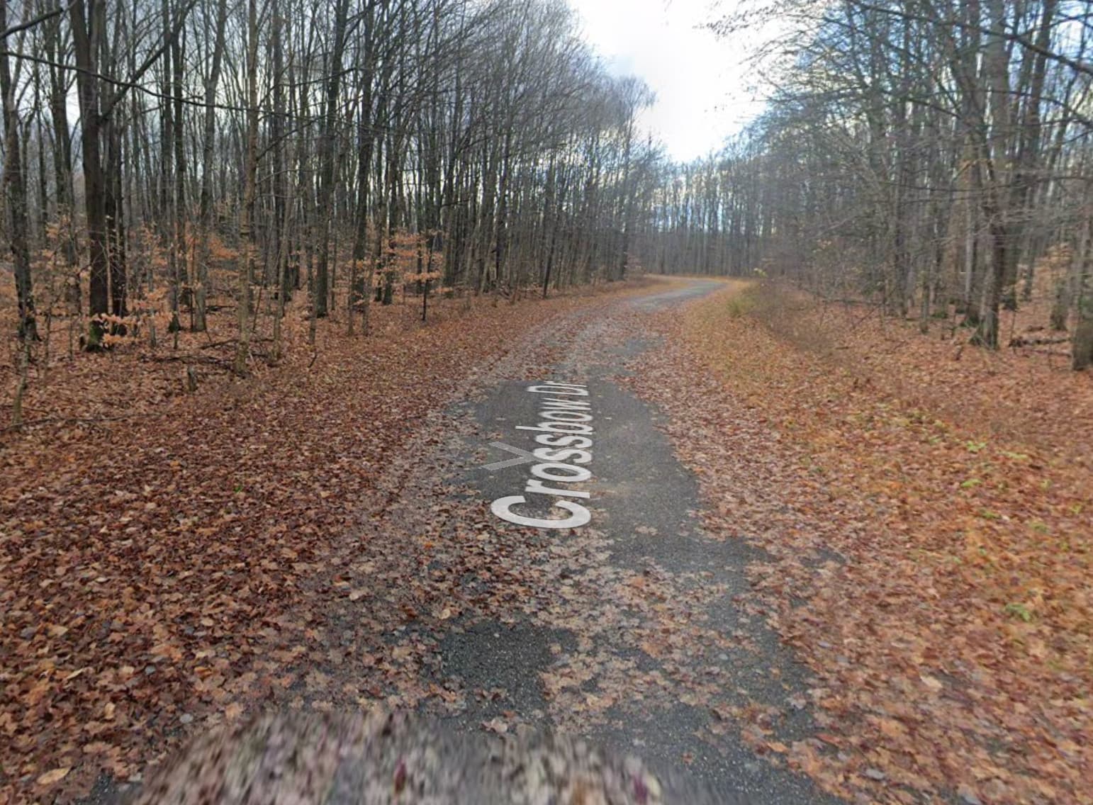 Mancelona Antrim County Michigan Payments Available Vacant Land Lot - .8 Acres 3