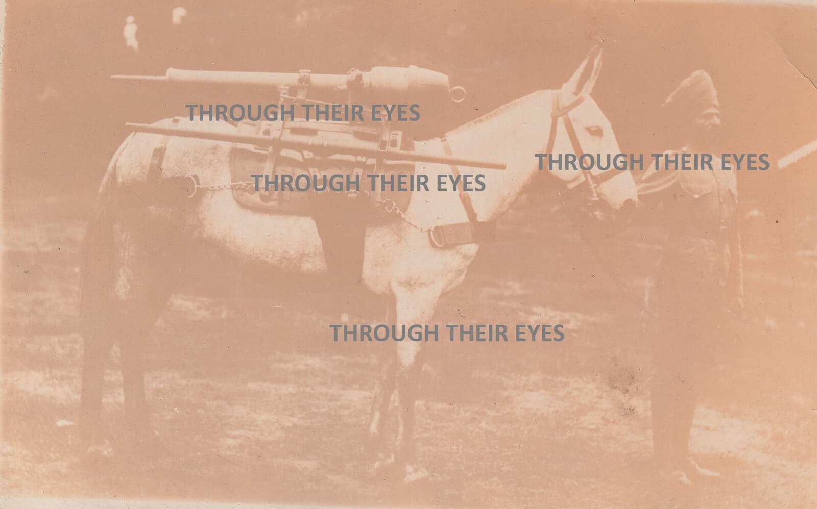 WW1 photo postcard Indian Soldier with Mule Donkey Horse with gun on back 3