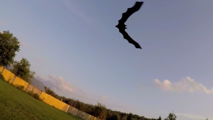 Batman Batarang Boomerang handcrafted Boomerangs By Vic REALLY RETURNS! 4