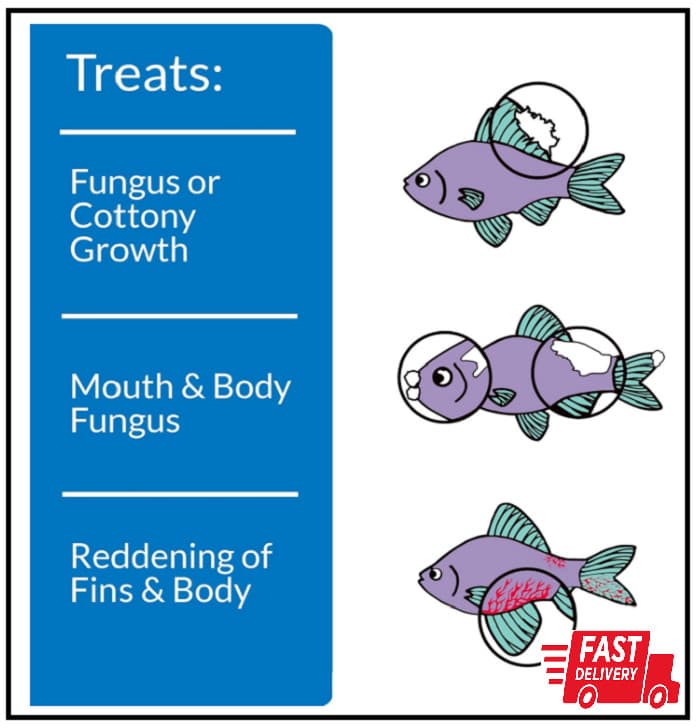 API PIMAFIX Antifungal Freshwater and Saltwater Fish Remedy 16-Ounce Bottle 2