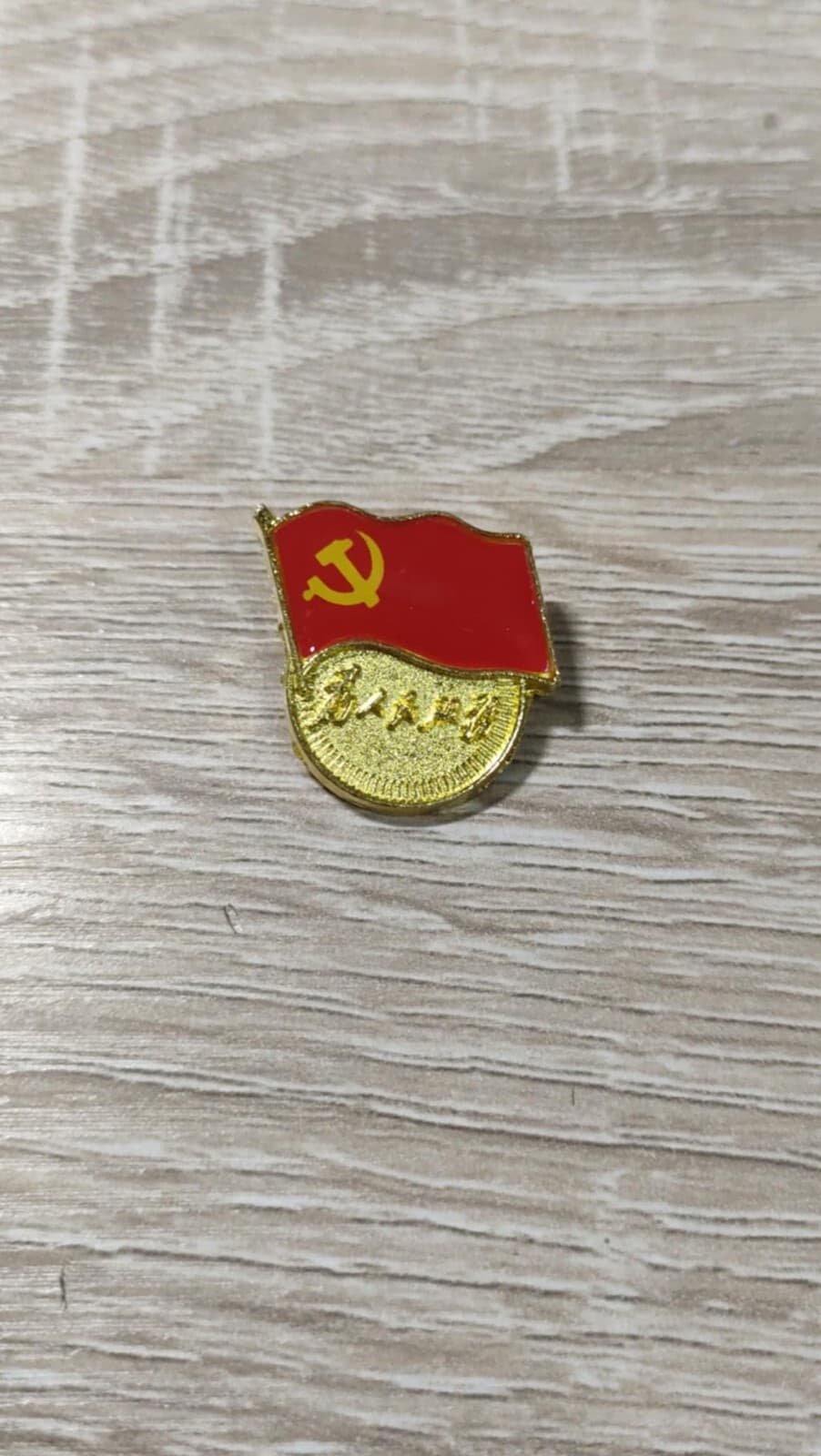 (NEW) China CCP party member badge