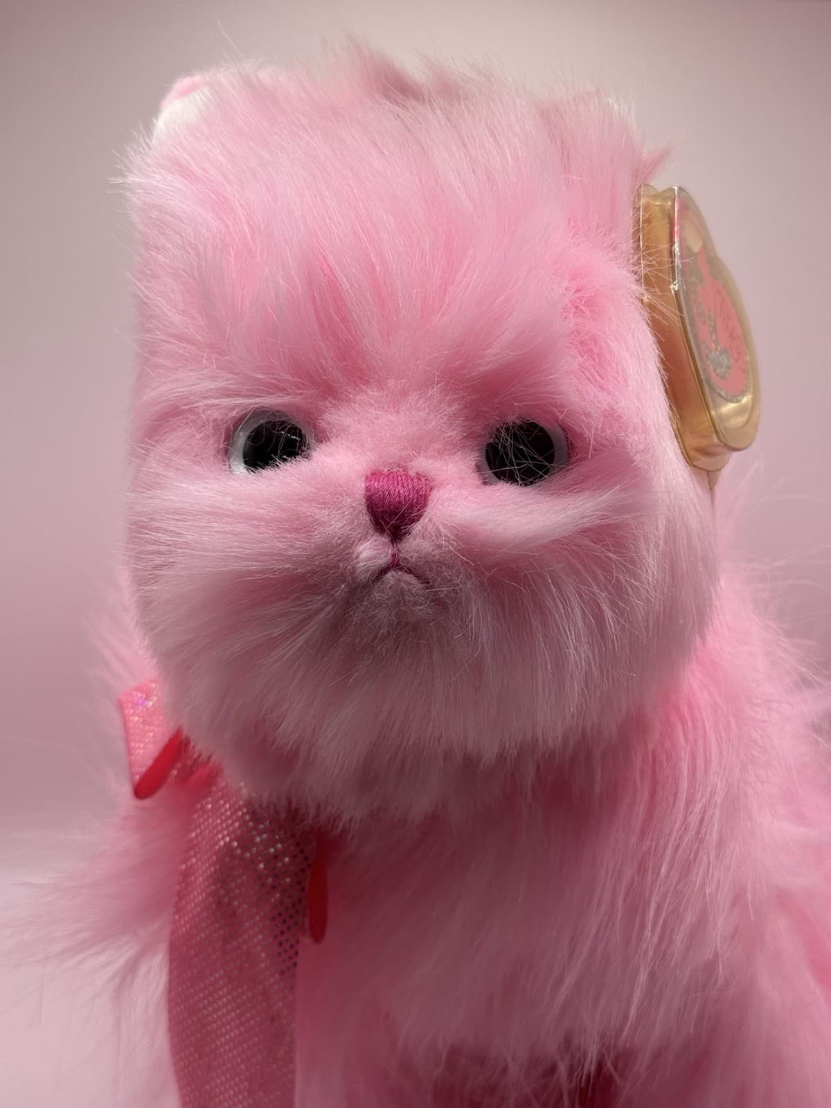 TY Pinkys - ORCHID the Persian Kitty Cat (12 inch) MWMT Plush Stuffed Animal Toy 4