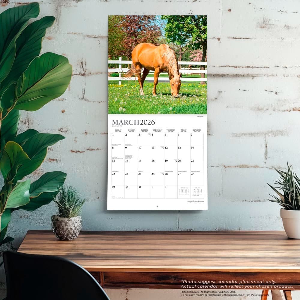 Magnificent Horses | 2026 12x24" (Hanging) Monthly Square Wall Calendar 5