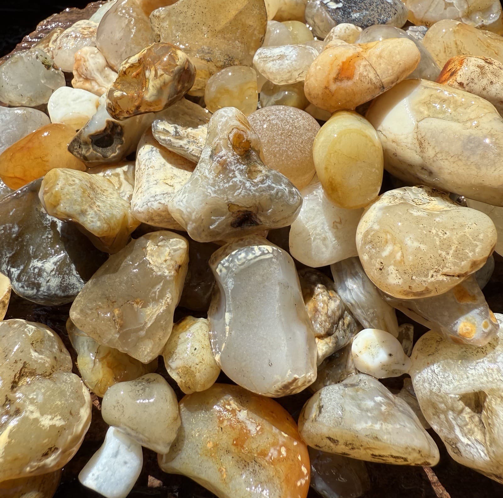 Natural Oregon Beach Agates 1lb. Rough For Tumbling Or?