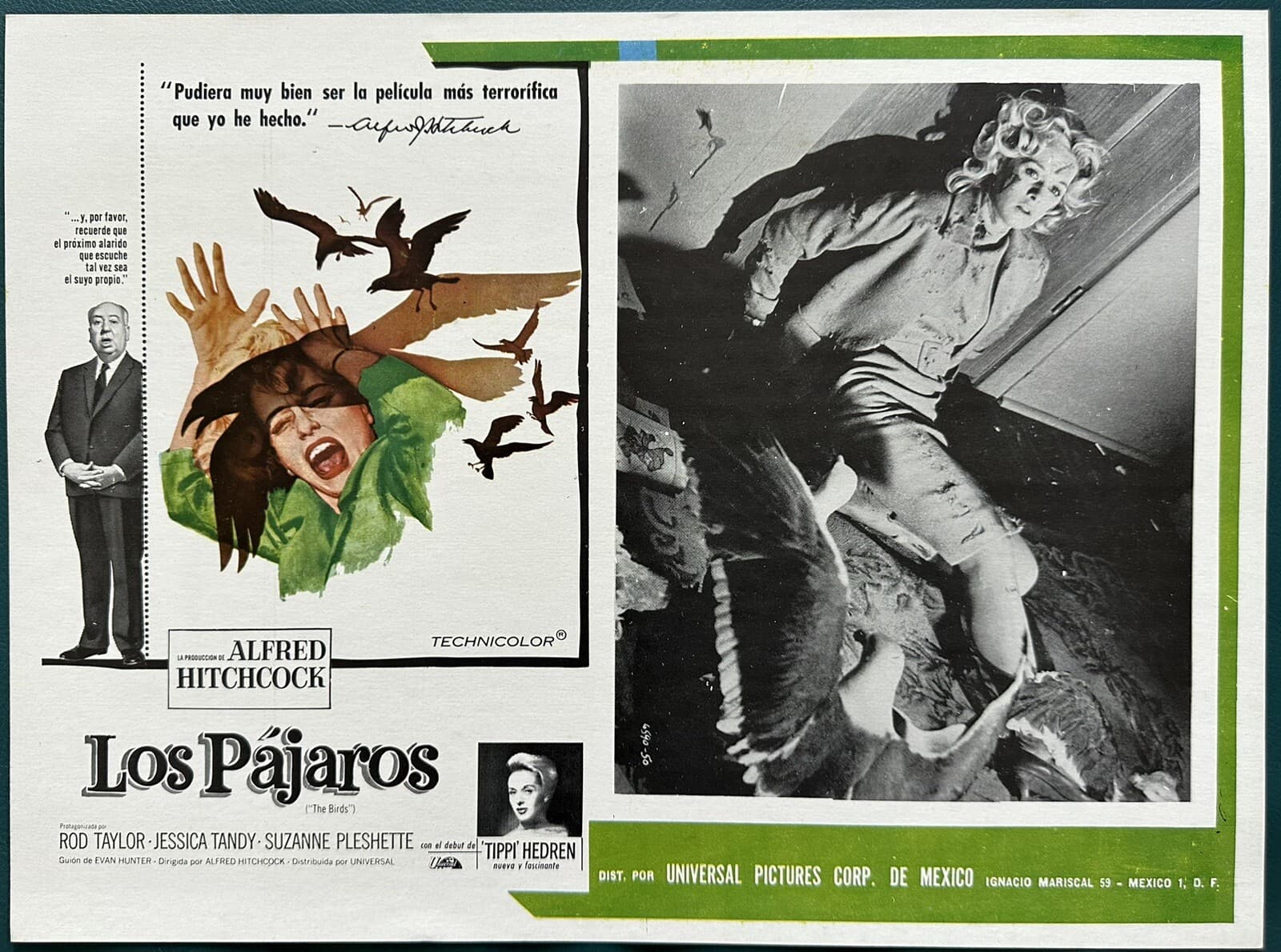 THE BIRDS TIPPI HEDREN ALFRED HITCHCOCK MEXICAN LOBBY CARD 1963 UNUSED
