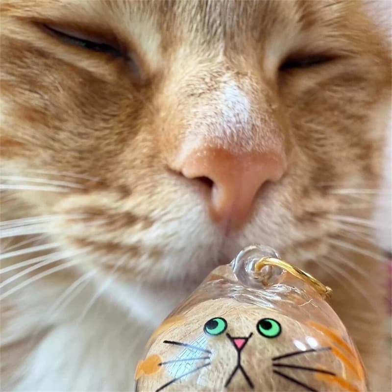 6PC Cat hair storage box pendant cat hair storage capsule keychain commemorative 6