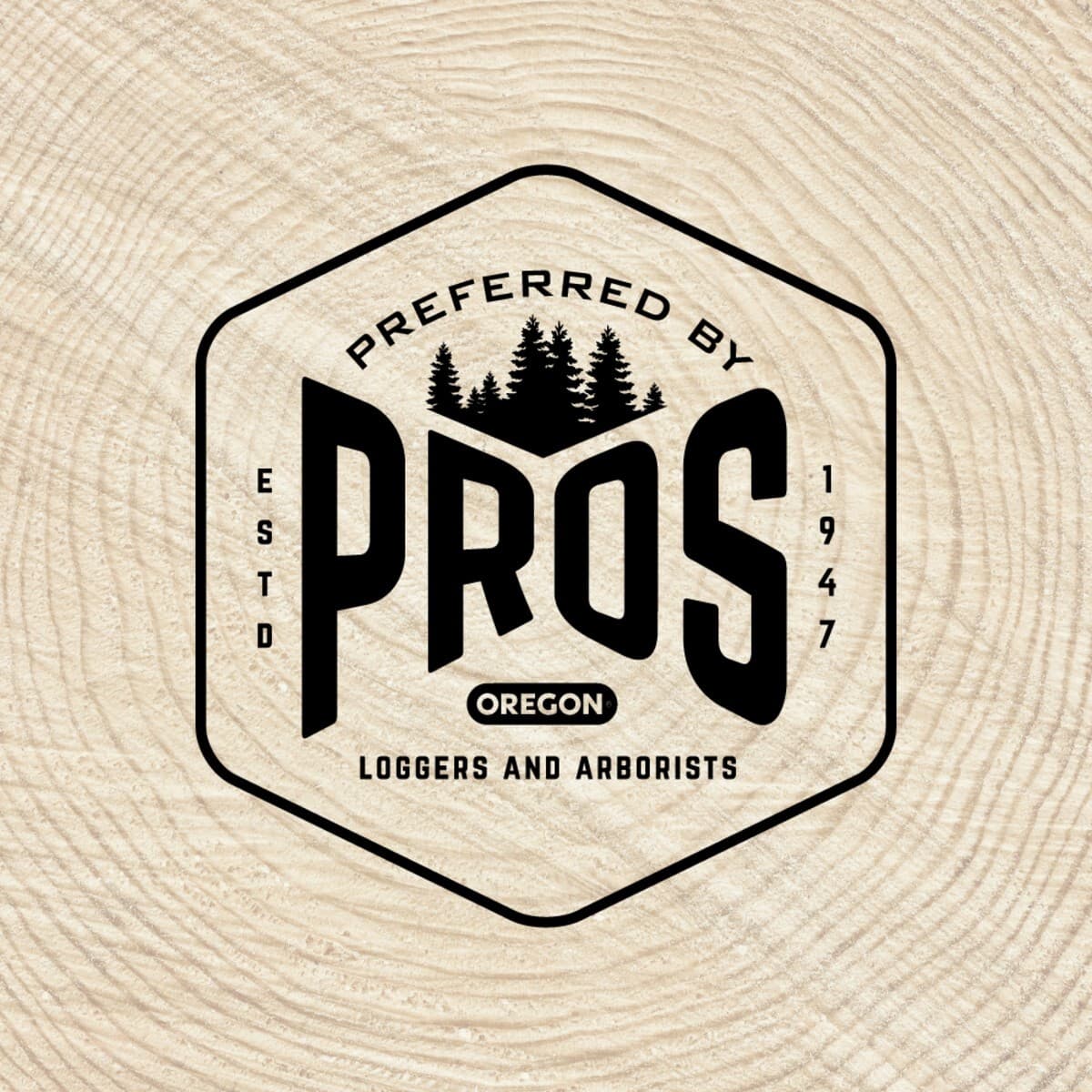 Oregon CS325 16" SpeedCut Nano 40V Cordless Chainsaw w/ Battery & Charger 627994 6