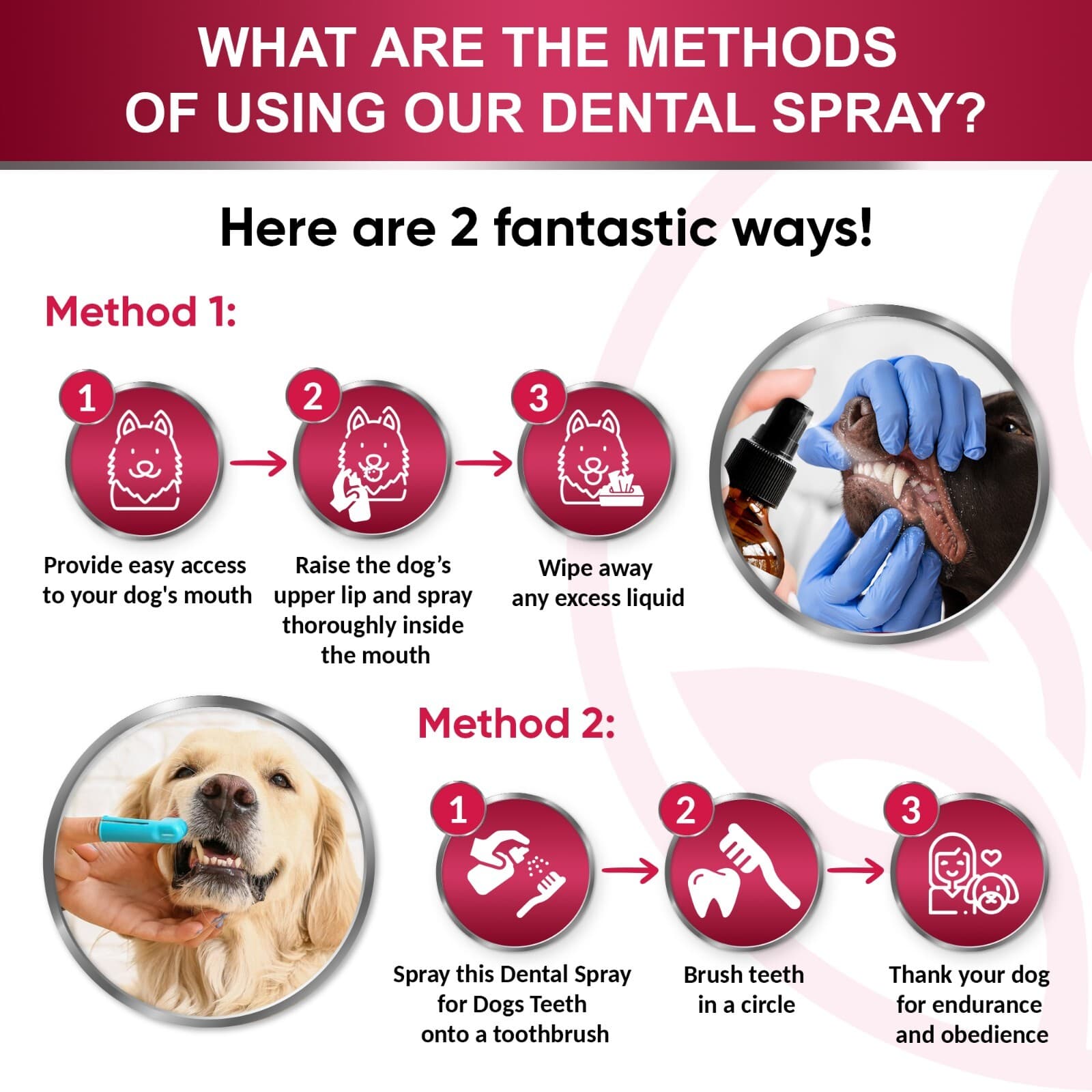 Cat Dental Care Spray | Breath Freshener & Teeth Cleaner | 4 oz 4