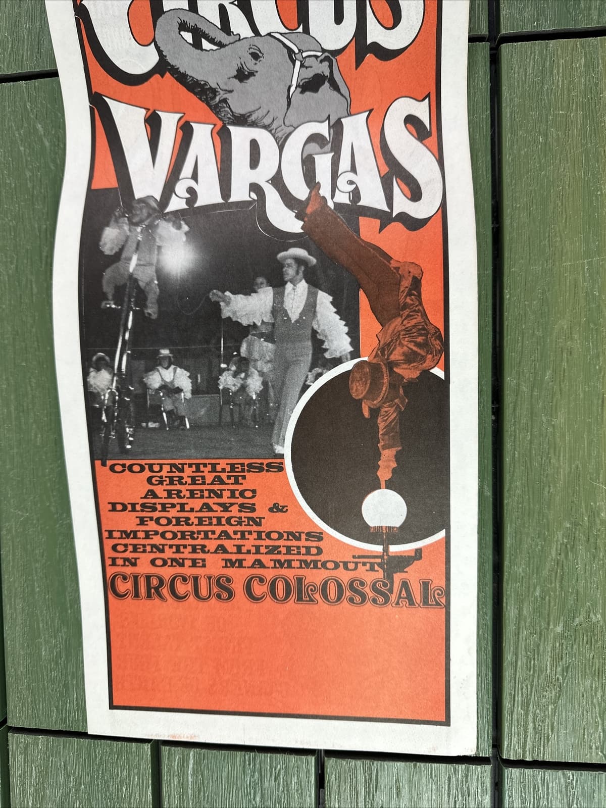 Circus Vargas Tiger ORIGINAL Vintage 1976 Poster 7" By 22" 6