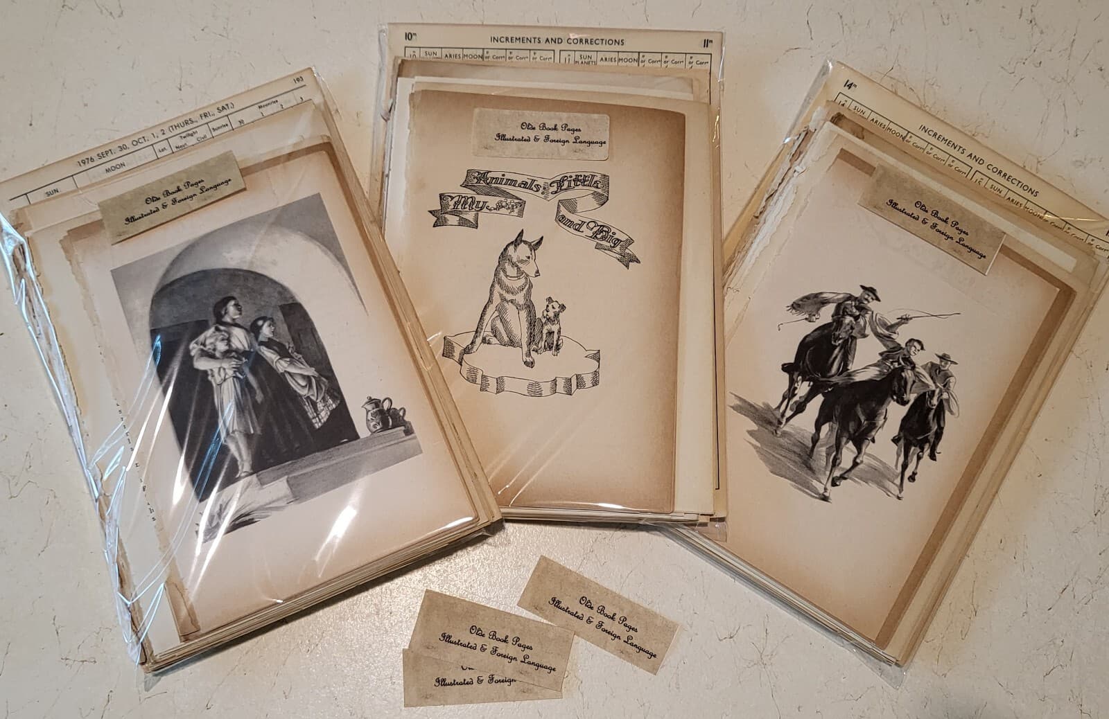 Ephemera Pack, 100 Antique Vintage Old Book Pages Foreign Language Illustrations 3