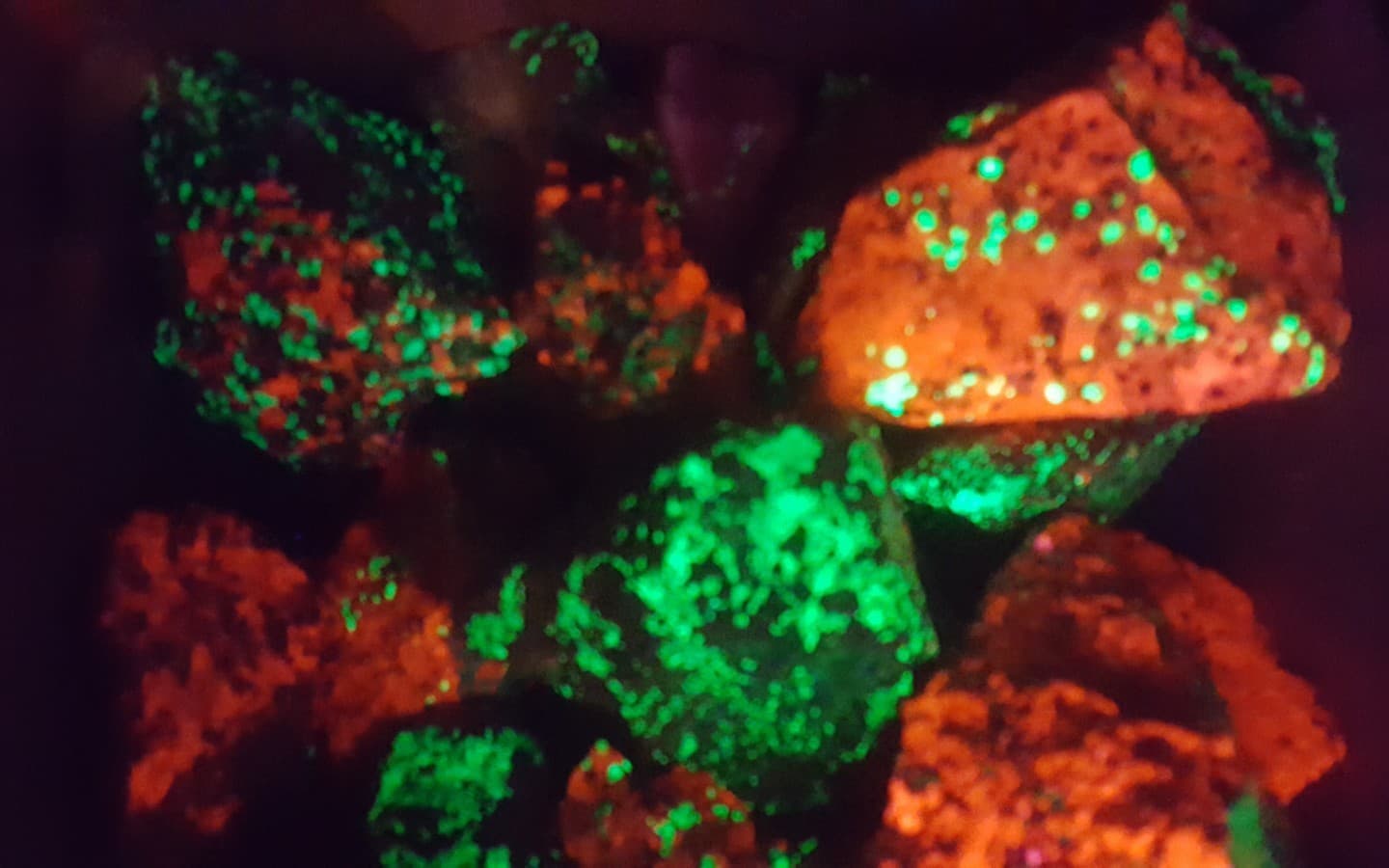 1 Pound+ Lot of Franklin New Jersey Fluorescent Rocks Minerals Willemite Calcite 2