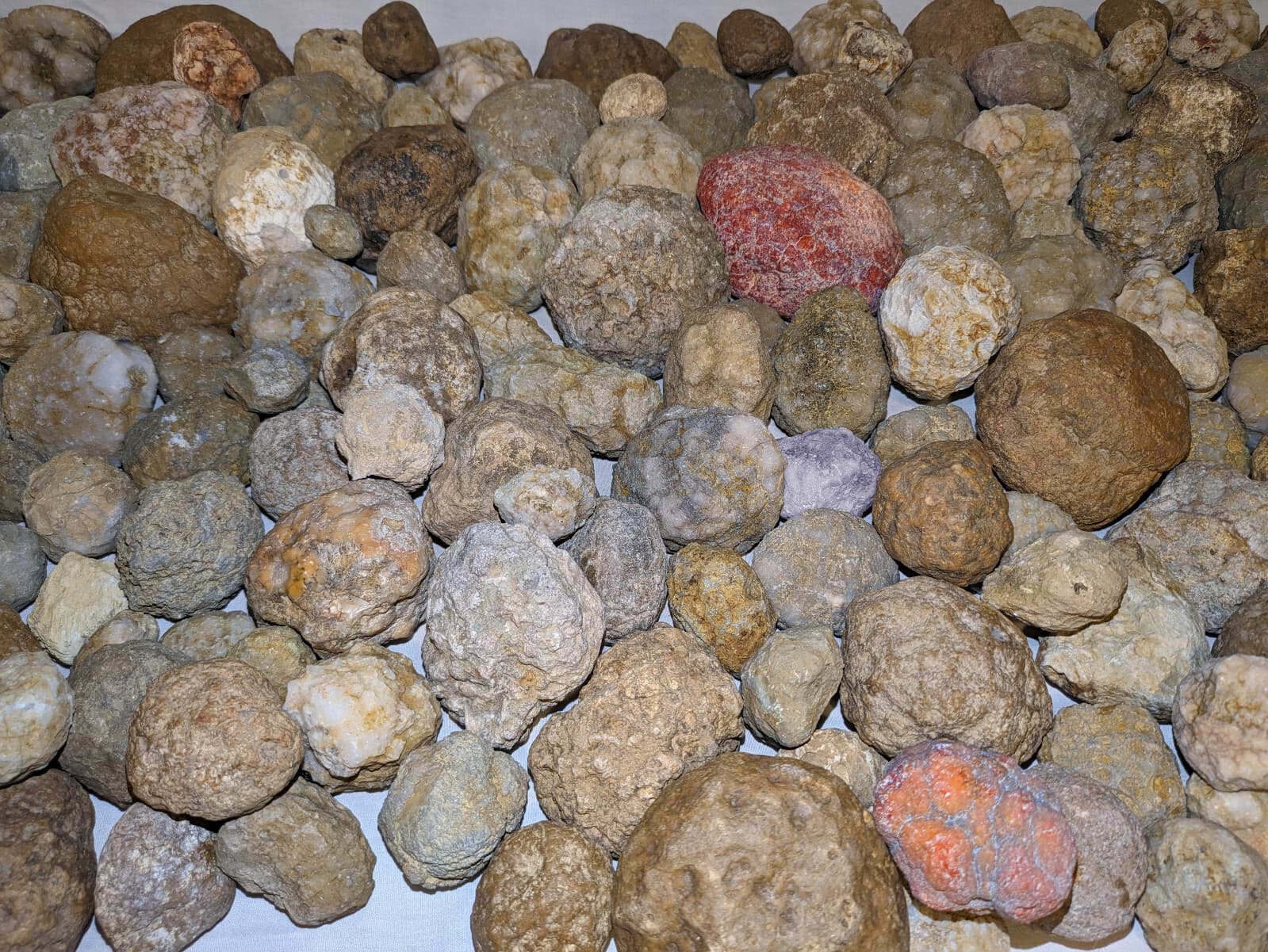 2LB Lot  Unopened Geodes/Agates/Nodules Semi Solid - Solid Lapidary (Qty: 8-12) 2