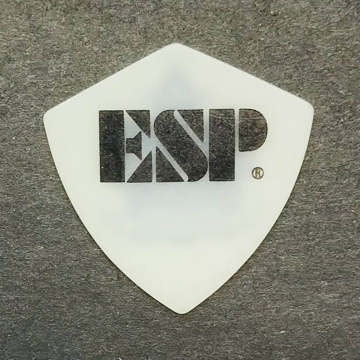 TAKAYOSHI OHMURA guitar pick- Japan guitar pick 2