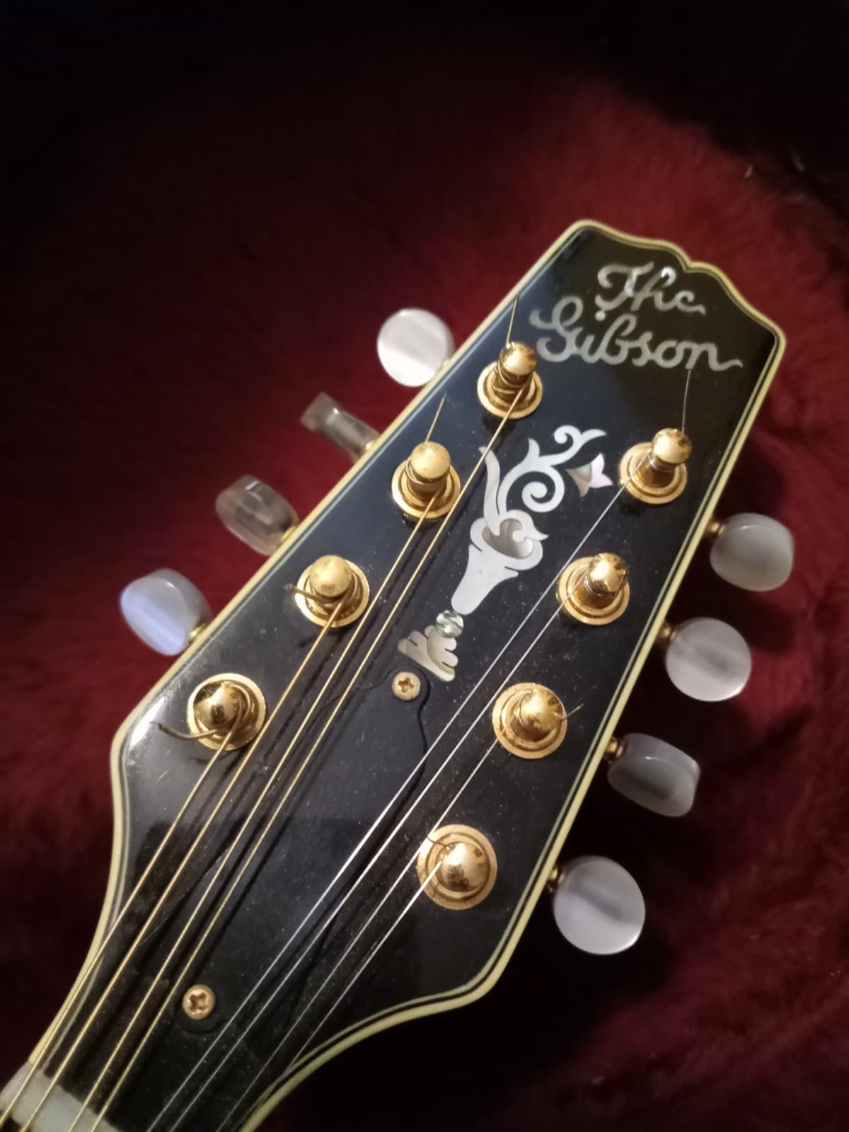 THE GIBSON MASTER MODEL A-5L MANDOLIN WITH HARD SHELL CASE 2