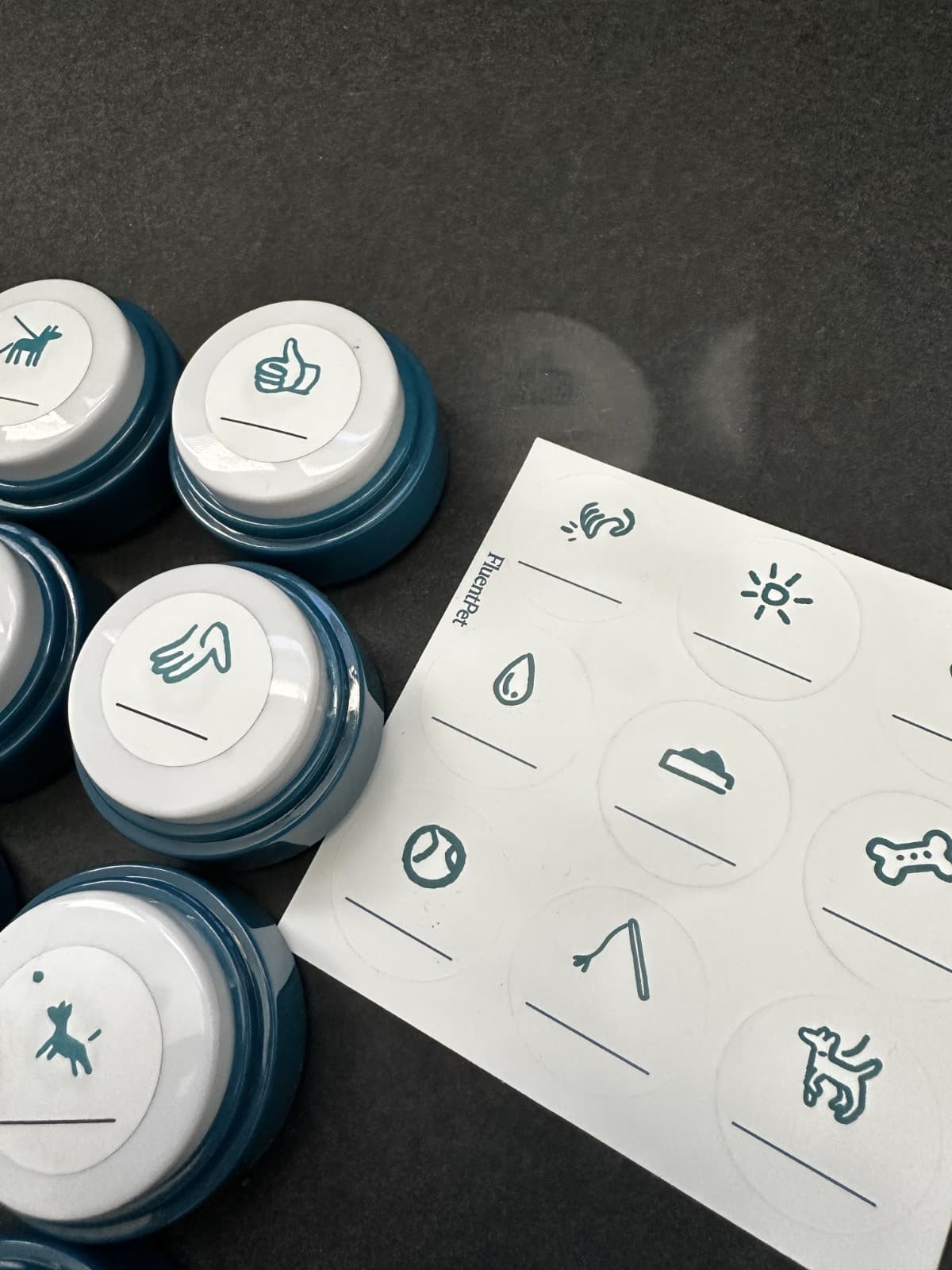 FluentPet Basic Buttons - Set of 16 - Open Box - Recordable - Used 5