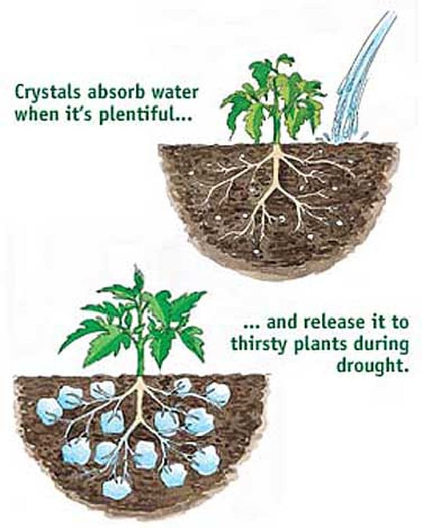 Water Absorbing Polymer Crystals  - Soil Moist - Cricket Water Gel 2