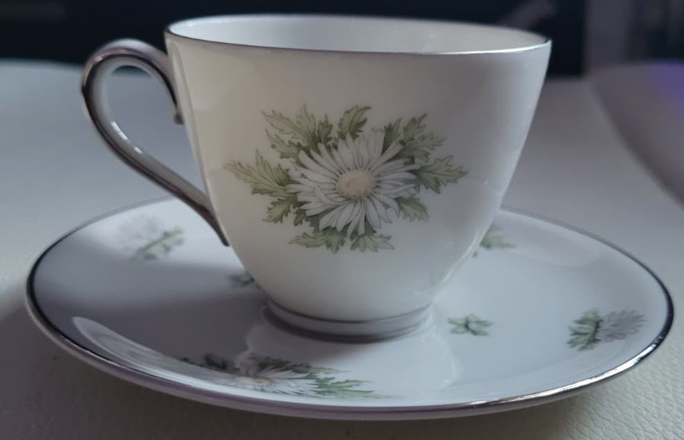 2 Pcs. Teacup  Saucer Set Silver Thistle Franconia Flowers Selb Bavaria