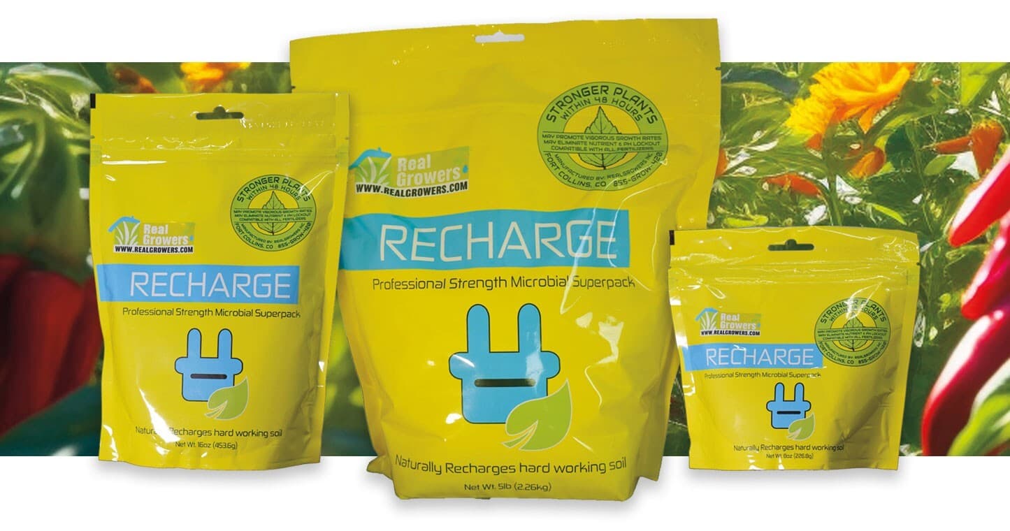 Real Growers Recharge - Mycorrhizae Instant Compost Tea/Soil Microbes