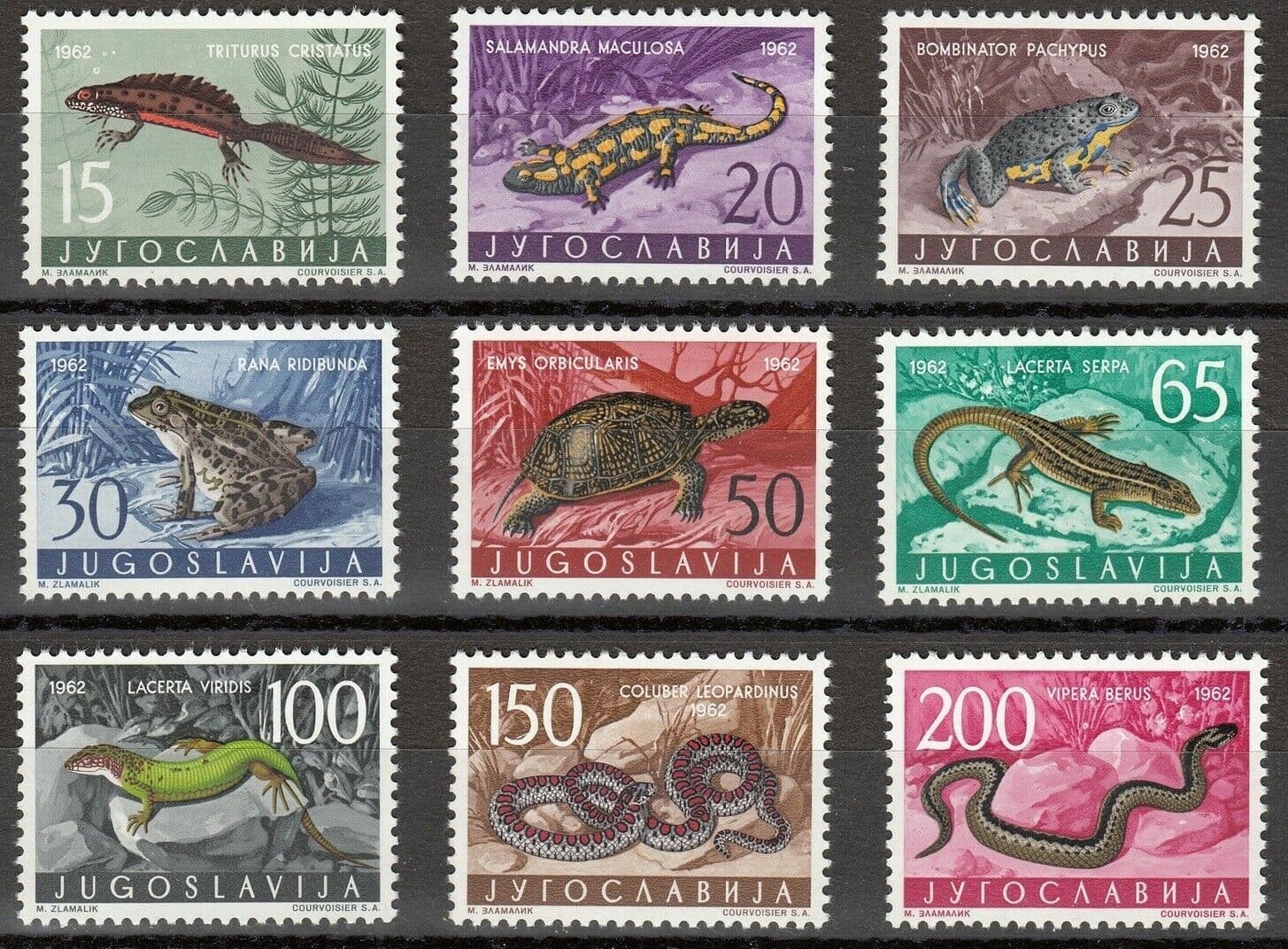 Yugoslavia 1962 ☀ Fauna - Amphibians and Reptiles ☀ Mint never hinged (**)