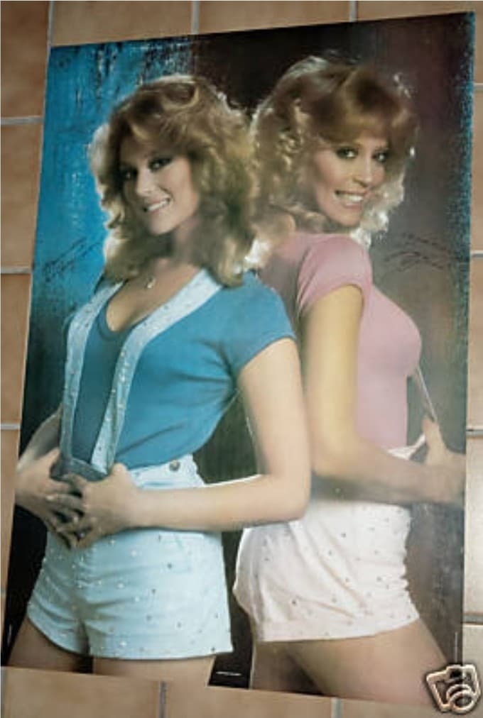 Vintage Poster Y80b Landers Sisters Playmates Audrey Judy 1982 Sealed Roll 20x28