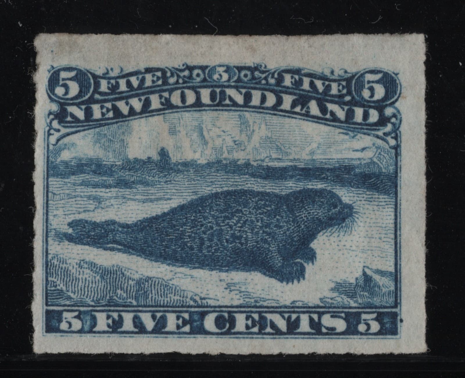 #40  Newfoundland Canada mint