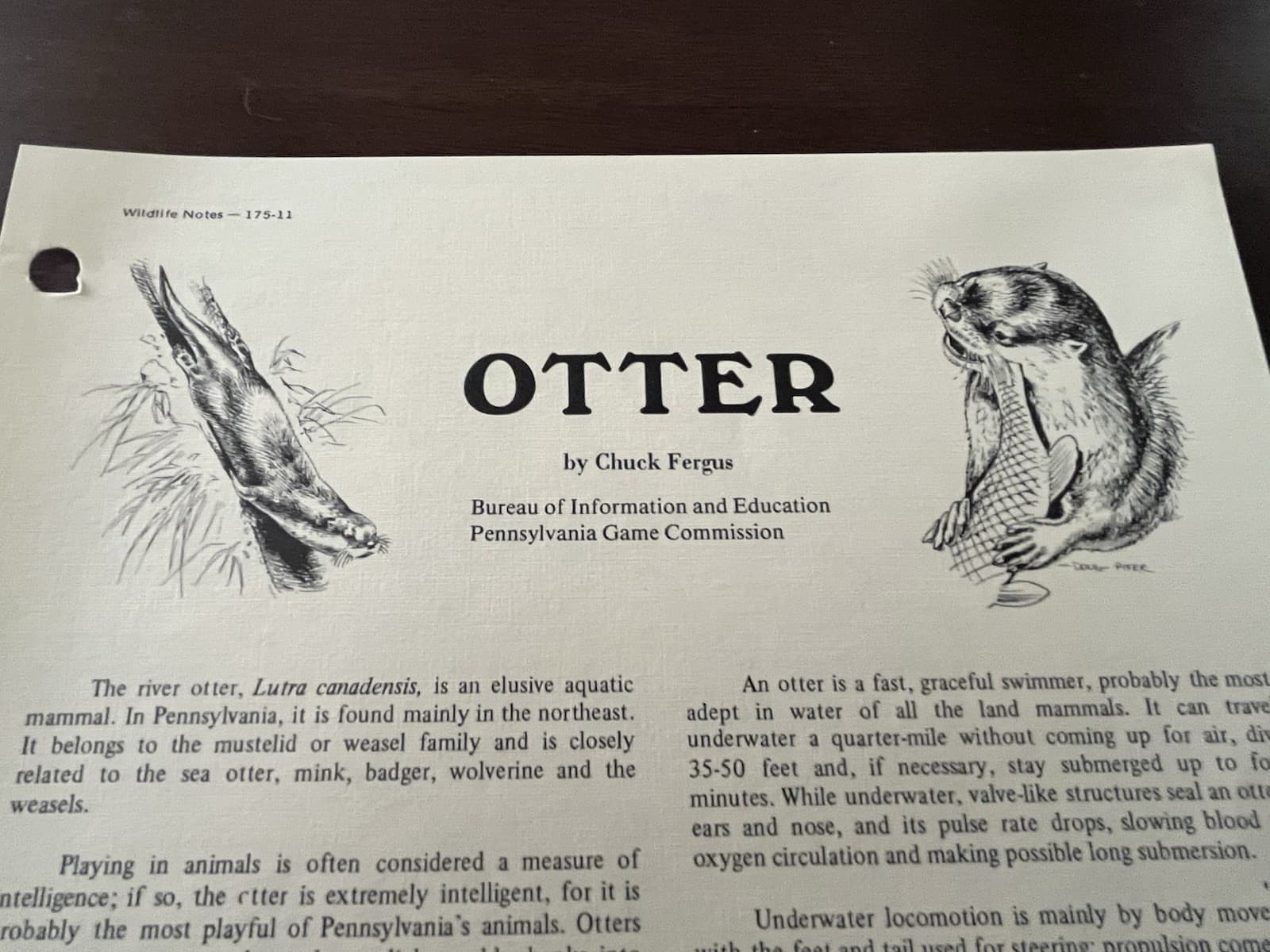 Pennsylvania Game Commission Wildlife Notes “Otter” 2