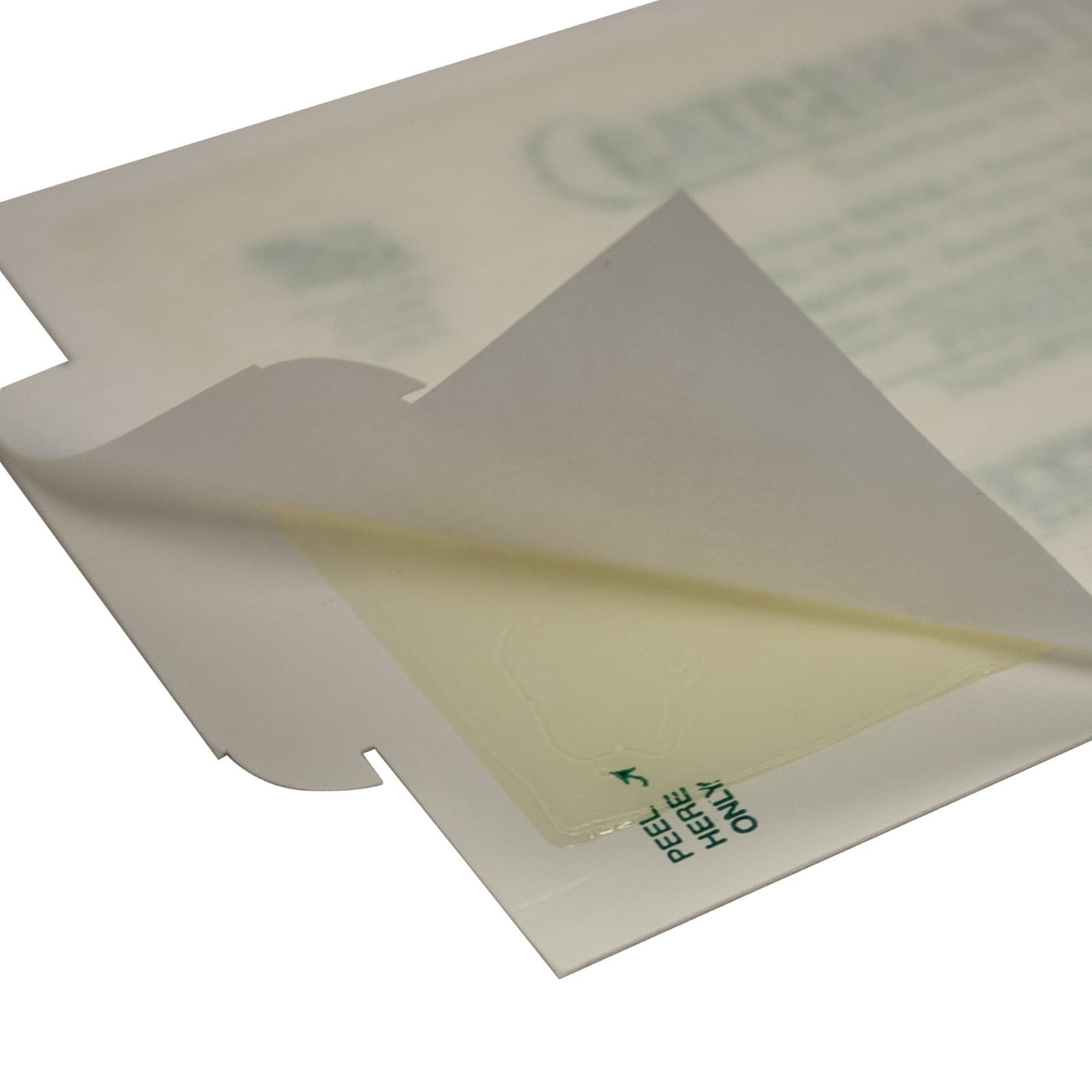 Catchmaster Mouse Insect Spider Glue Traps ( 12 Pack ) Mice Cockoaches Spiders 2