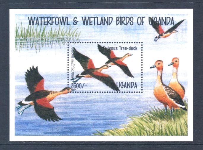 $5.50 Scott Value - 1995 UGANDA Ducks s/s Wetland Birds African CV MNH NH UMM 3