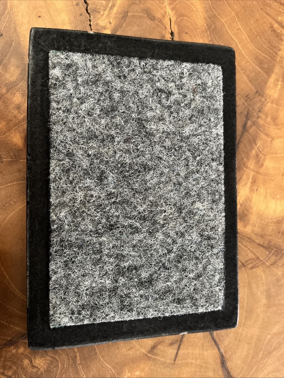 Display Box with 400 Million Years ORTHOCERAS and Ammonite Shell Fossils 4