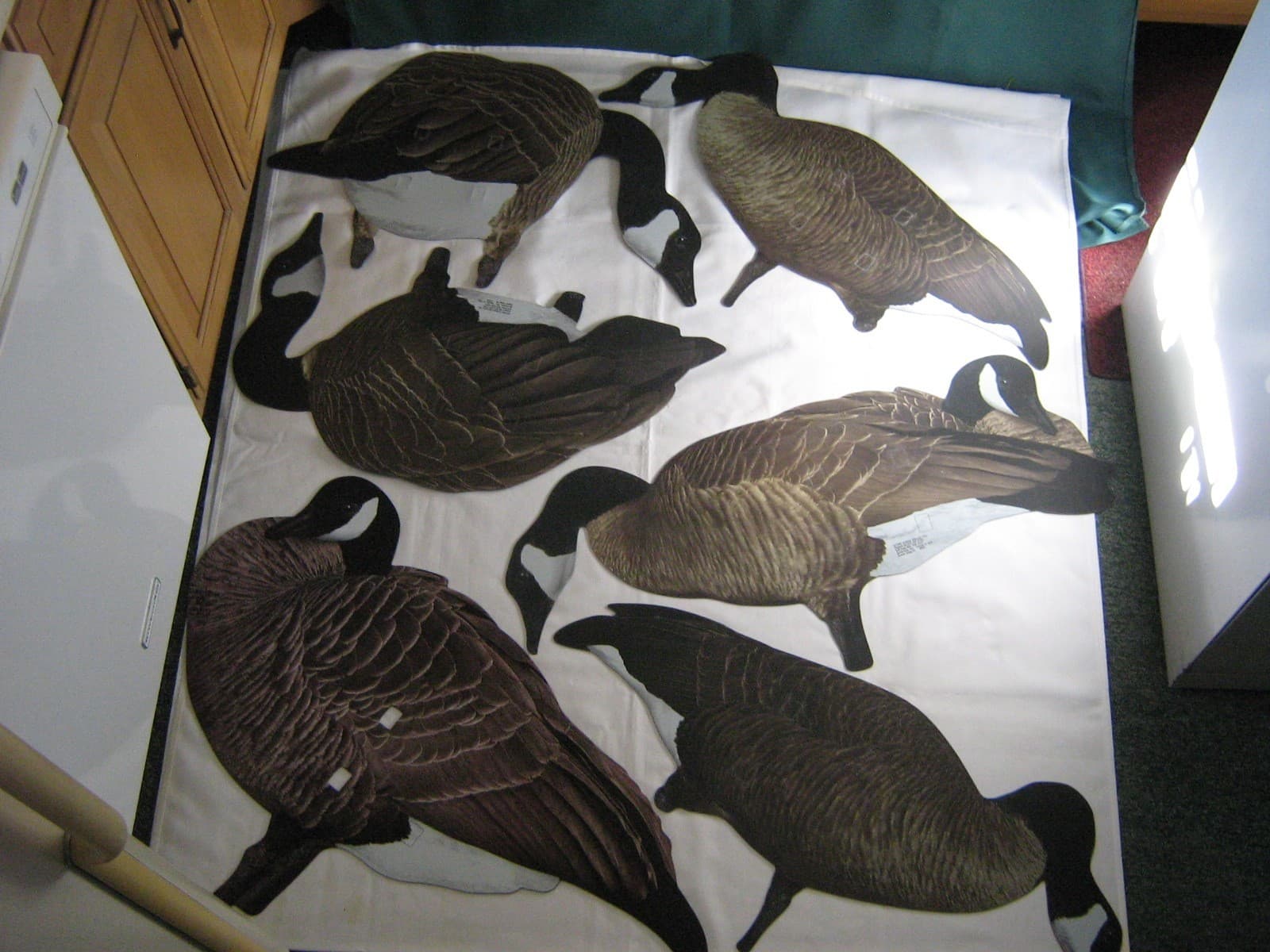 CANADA GOOSE DECOYS OUTLAW SUPER MAGNUM 2002 Set of 6 w/ Extra Stakes  *New* 2