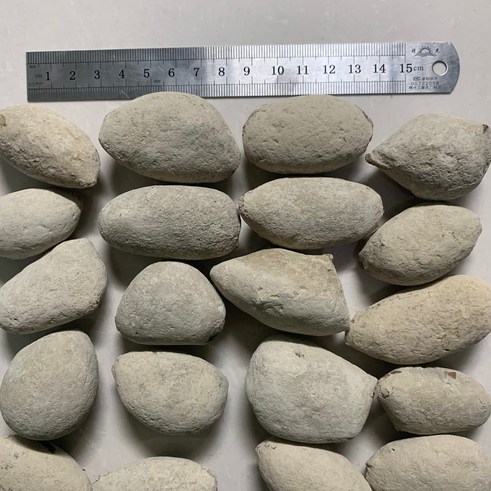 Jurassic Crab Fossils Awaiting Excavation Nuclear Dinosaur Age 4